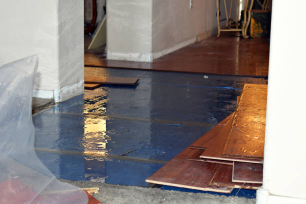 Professional Burst Pipe Cleanup technician working in Fredericksburg, VA